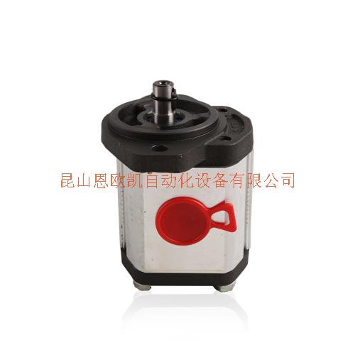 意大利MARZOCCHI齒輪泵R412009671