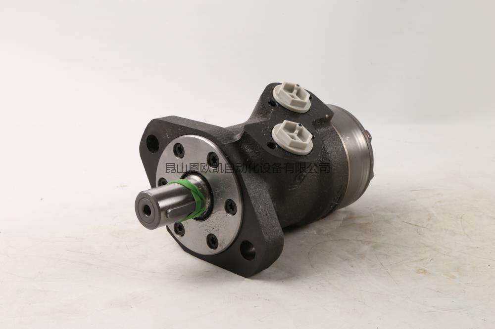 Italy DANFOSS Hydraulic Motor OMM 50 151G0013