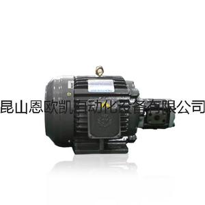 台湾群策SY Chyun Tseh油泵电机20HP/15KW