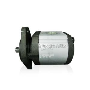 意大利RONZIO齿轮泵03ZBG50L348D