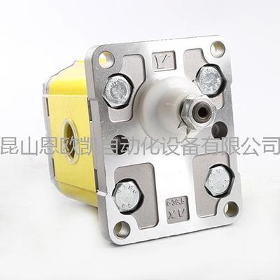 意大利VIVOIL VIVOLO齿轮泵X2P4901ECBA