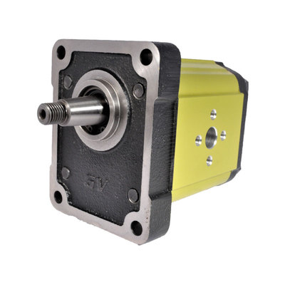 VIVOIL双向马达GM201 – MOTORE BASE ø36.5 STANDARD EUROPEO